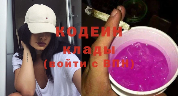 трава Ельня